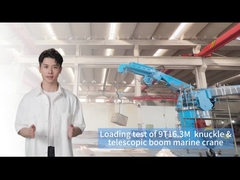 9T16.3M Grúa de bordo para el manejo eficiente de carga